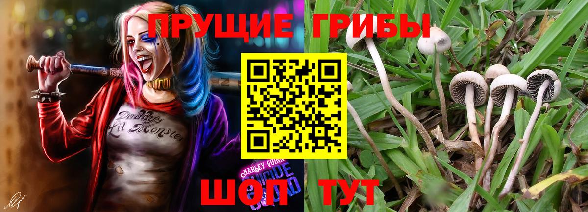 Котельники  Галлюциногенные грибы Magic Shrooms  Вход с VPN 